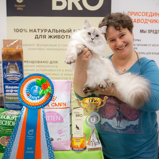 Невский маскарадный кот Москва